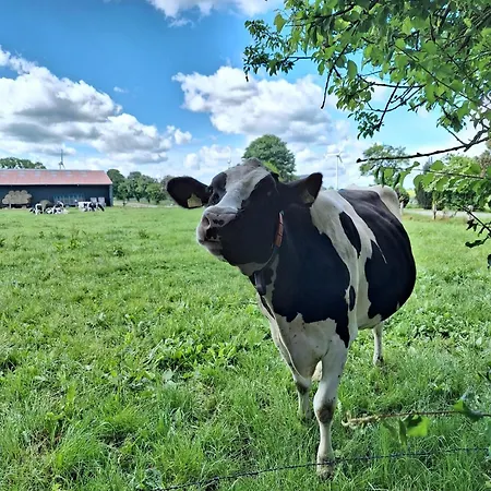 Landliebe Nyaraló *